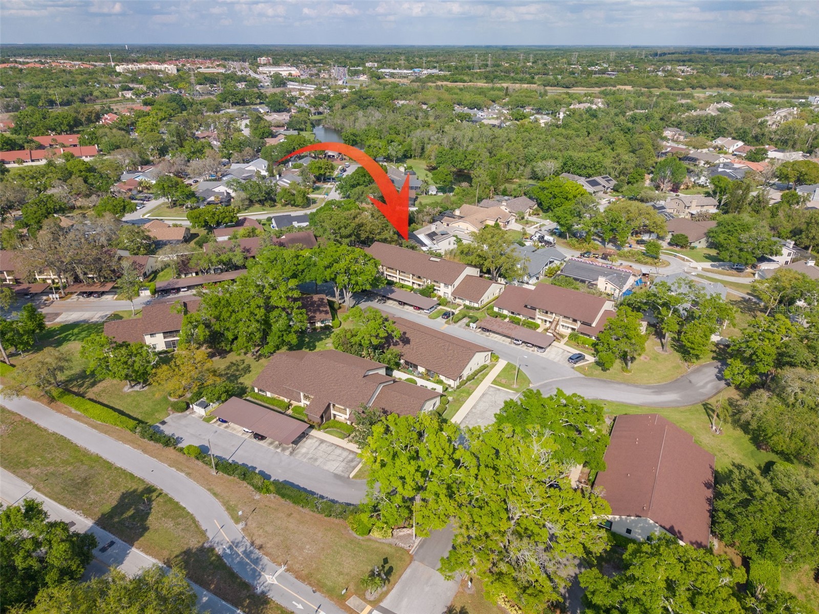 3590 Magnolia Ridge Circle #C-1103 Palm Harbor FL 34684 TB8503596 image25