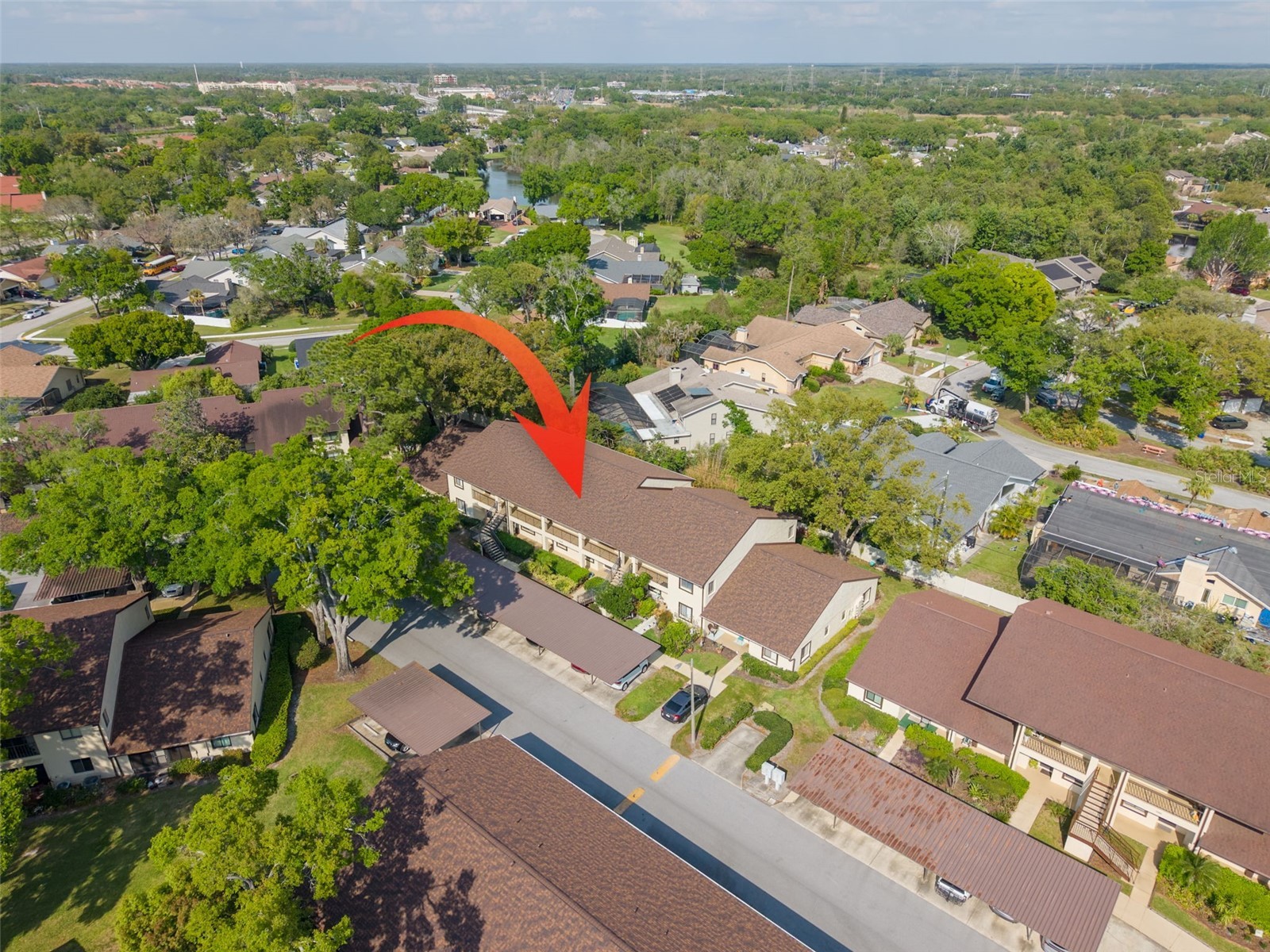 3590 Magnolia Ridge Circle #C-1103 Palm Harbor FL 34684 TB8503596 image26