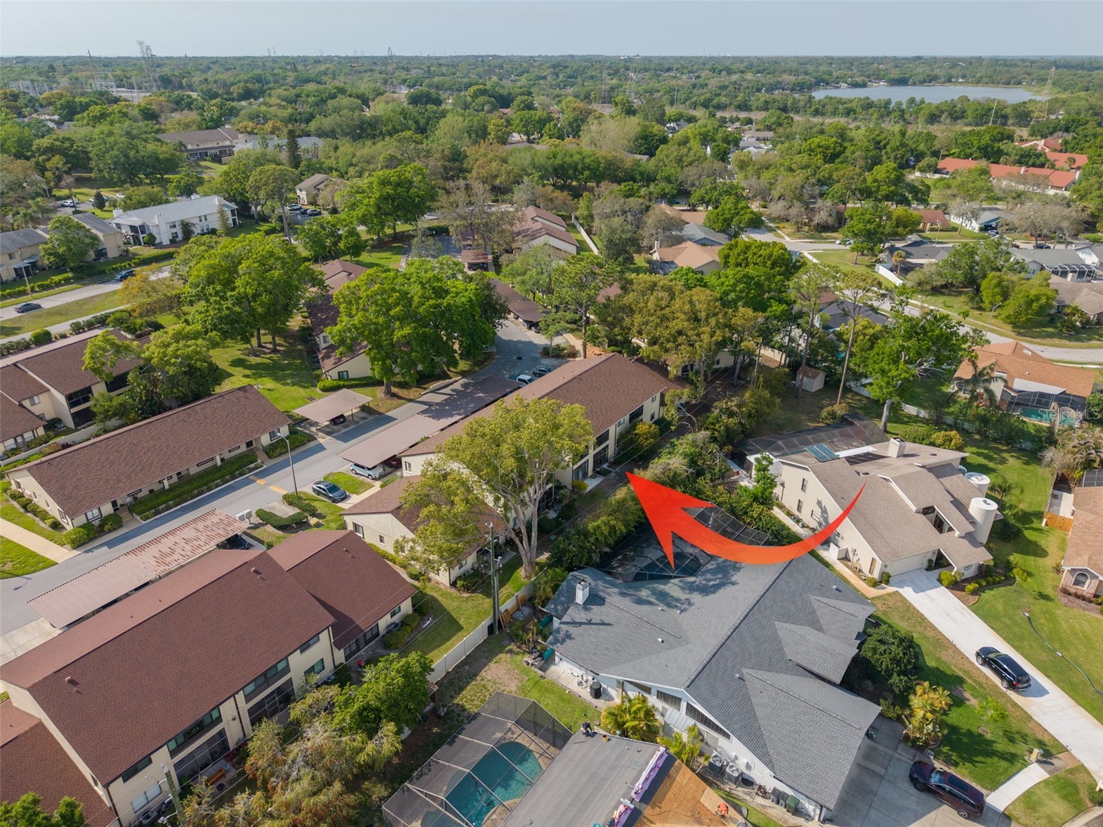 3590 Magnolia Ridge Circle #C-1103 Palm Harbor FL 34684 TB8503596 image27