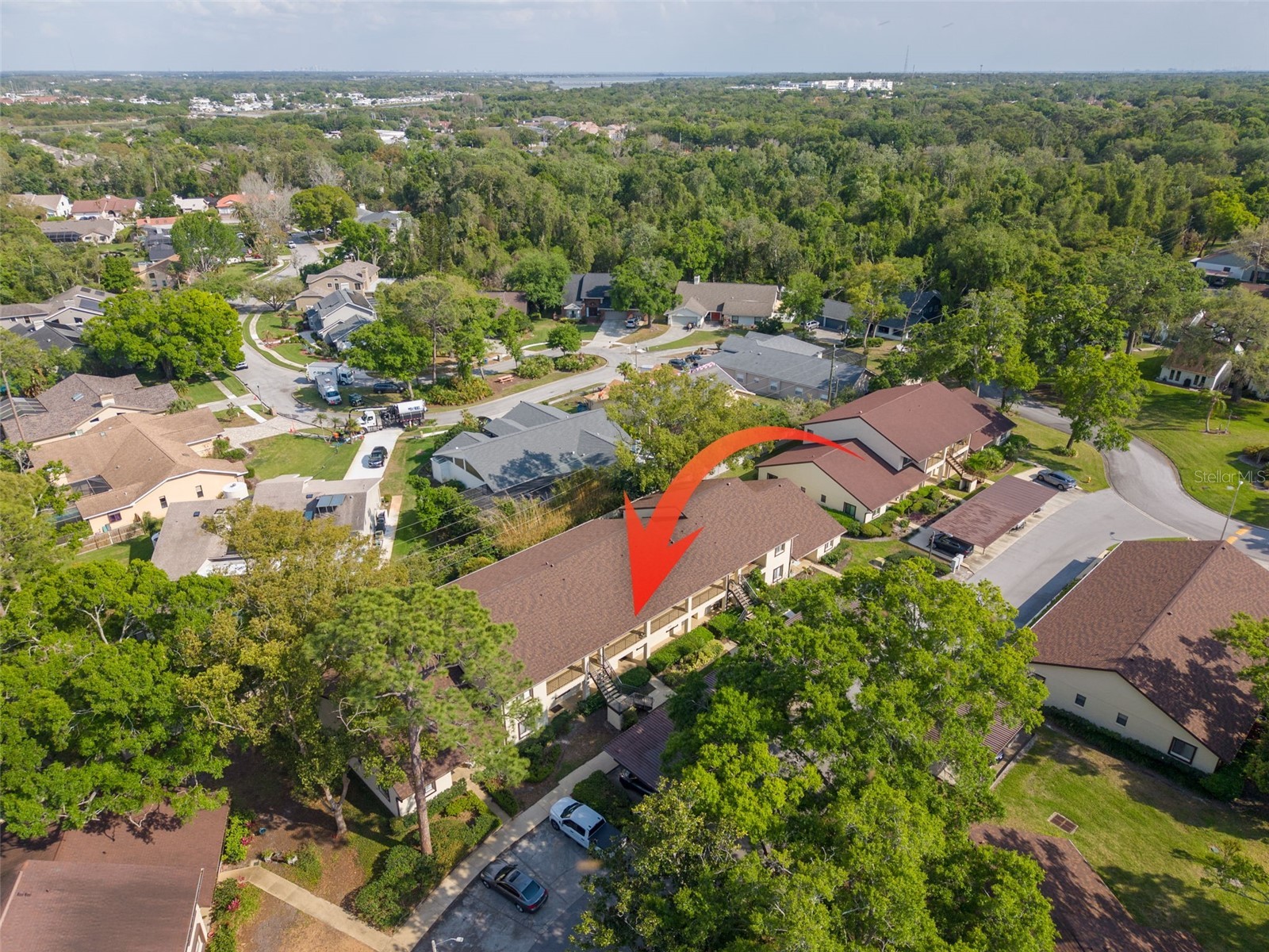 3590 Magnolia Ridge Circle #C-1103 Palm Harbor FL 34684 TB8503596 image28