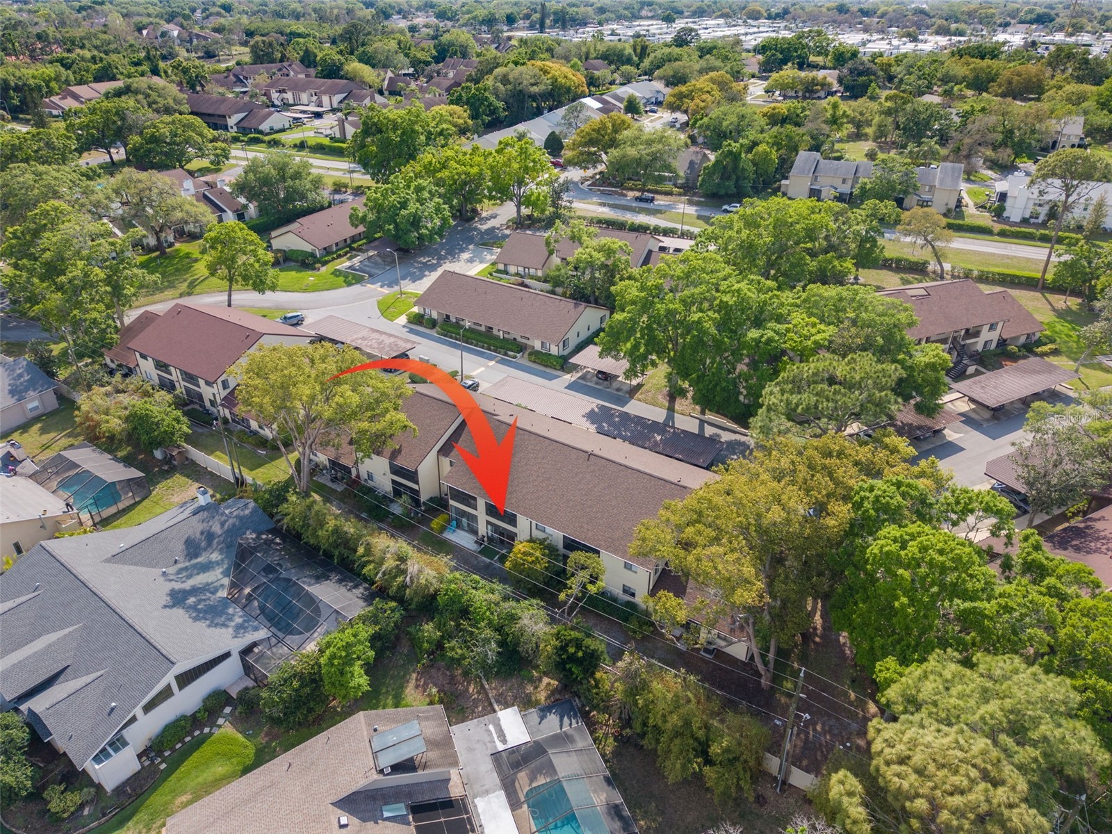 3590 Magnolia Ridge Circle #C-1103 Palm Harbor FL 34684 TB8503596 image29