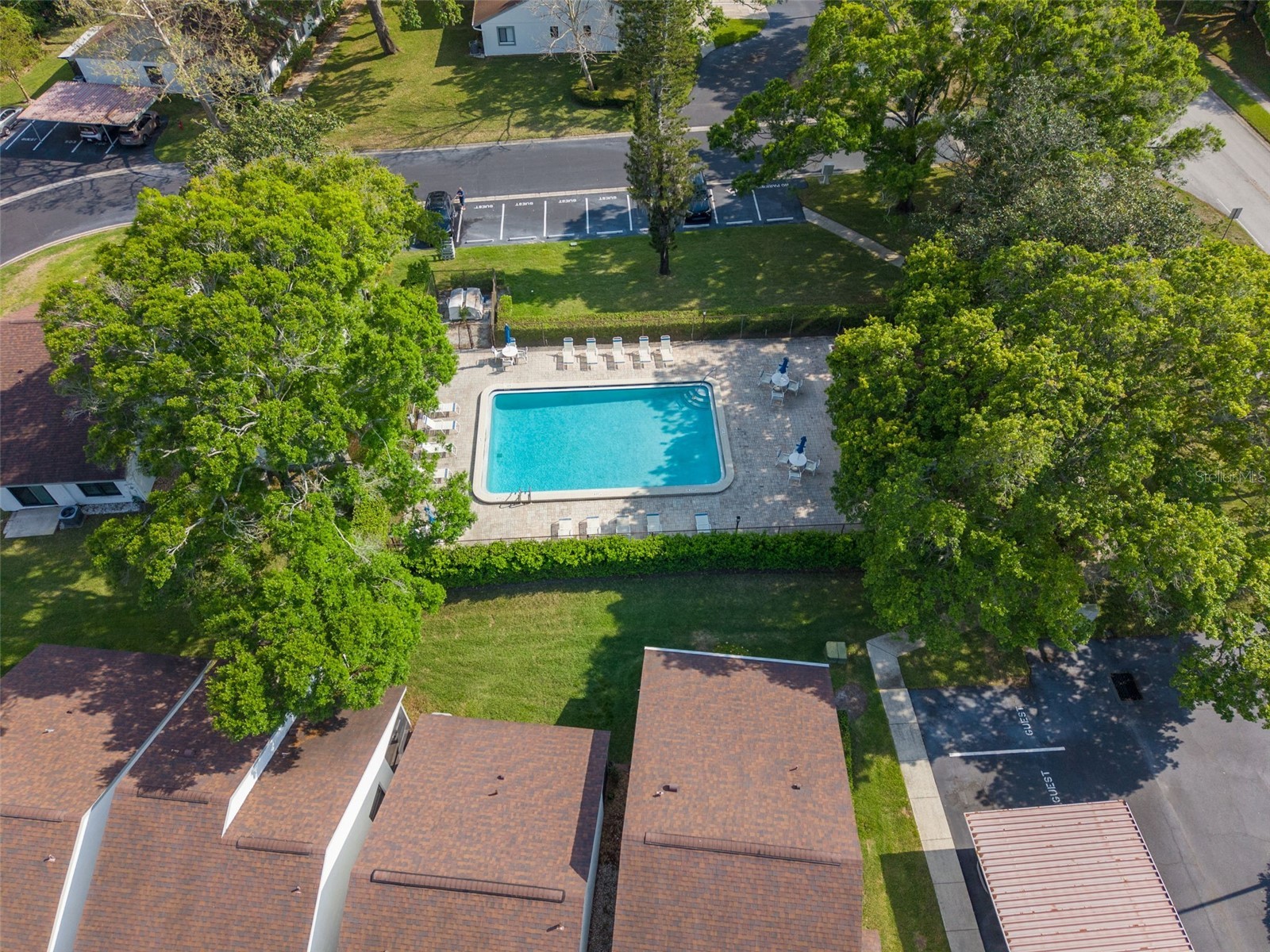 3590 Magnolia Ridge Circle #C-1103 Palm Harbor FL 34684 TB8503596 image30