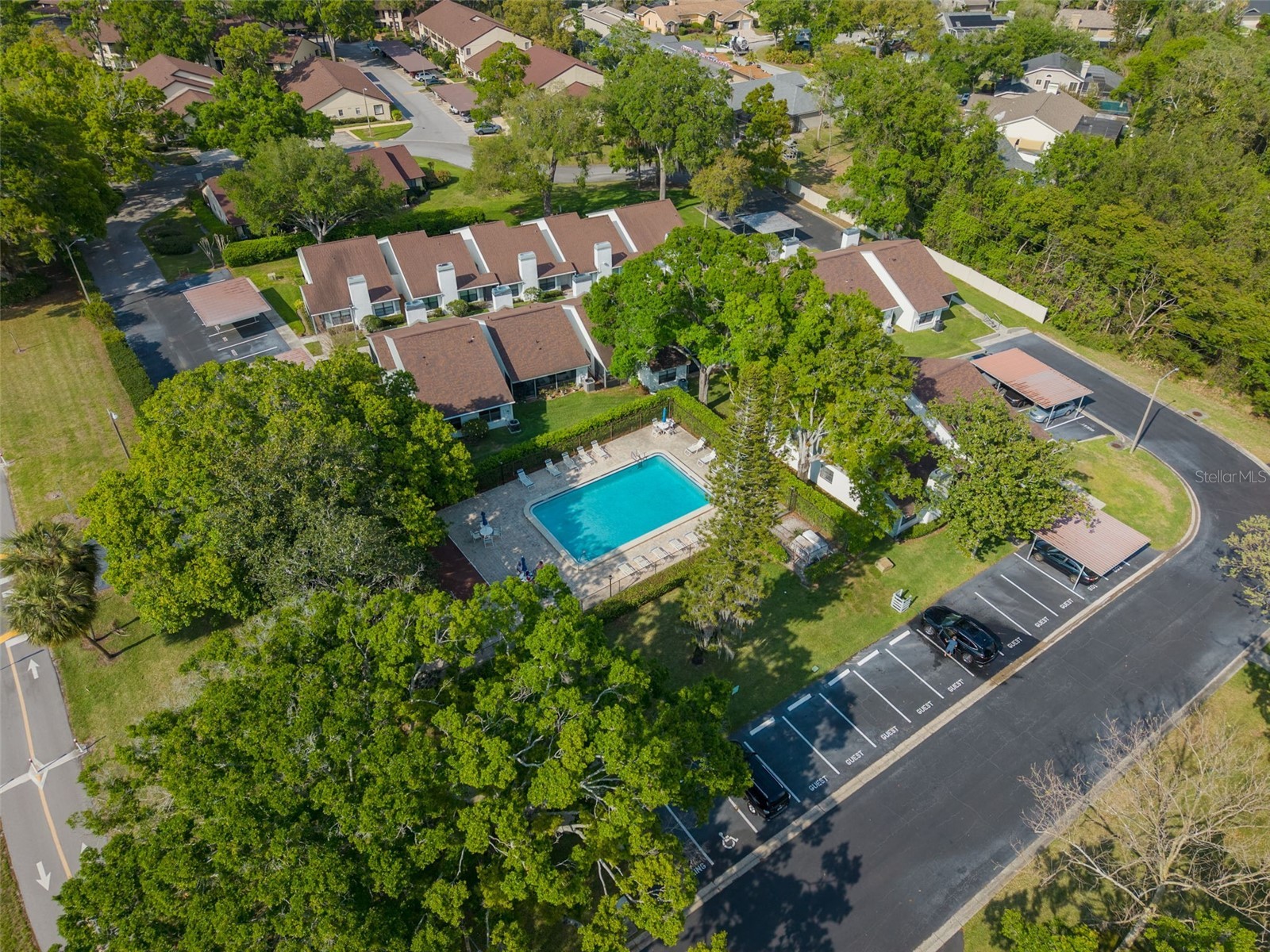 3590 Magnolia Ridge Circle #C-1103 Palm Harbor FL 34684 TB8503596 image31
