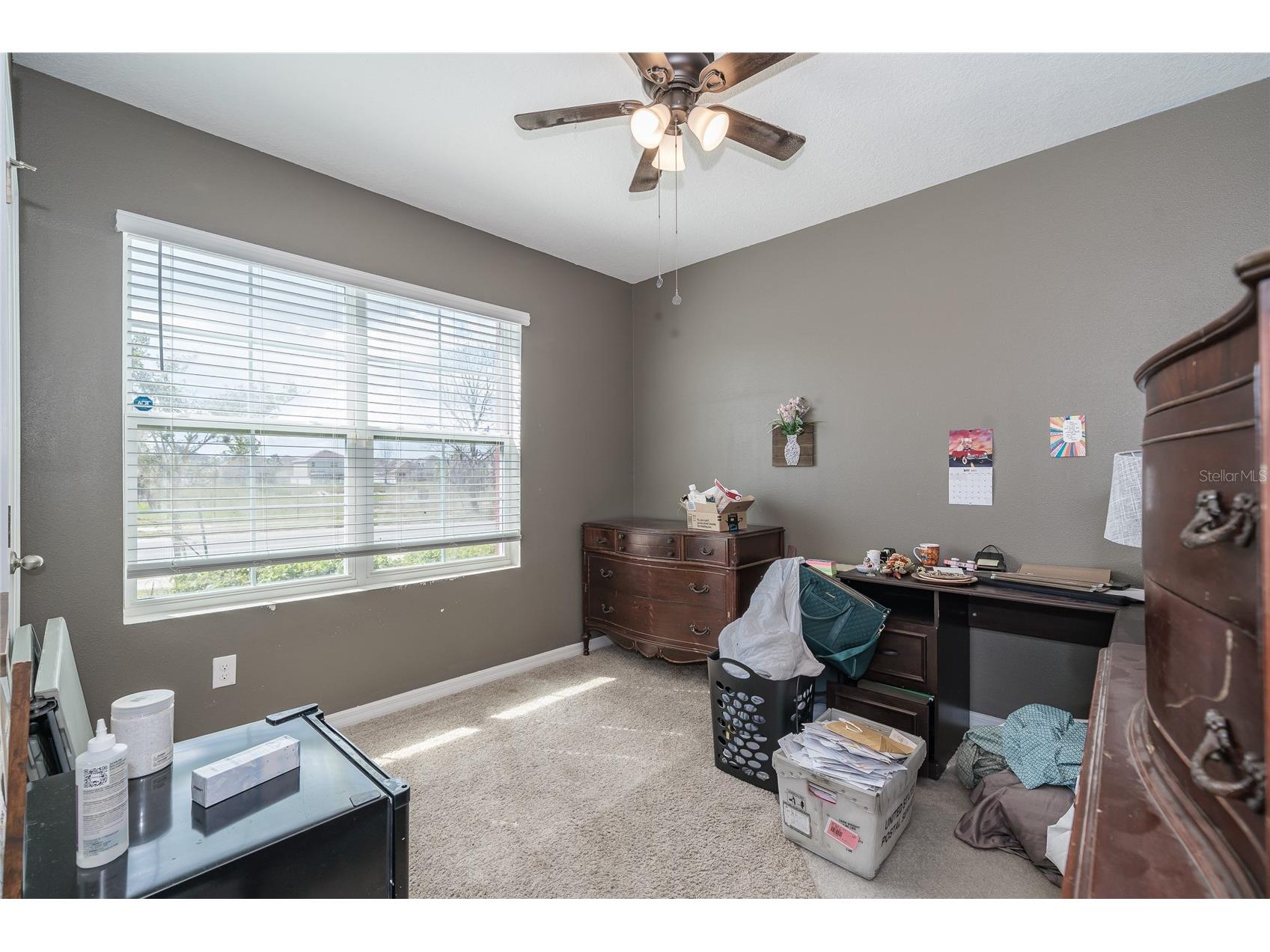 35900 Hillbrook Avenue Zephyrhills FL 33541 TB8493926 image10