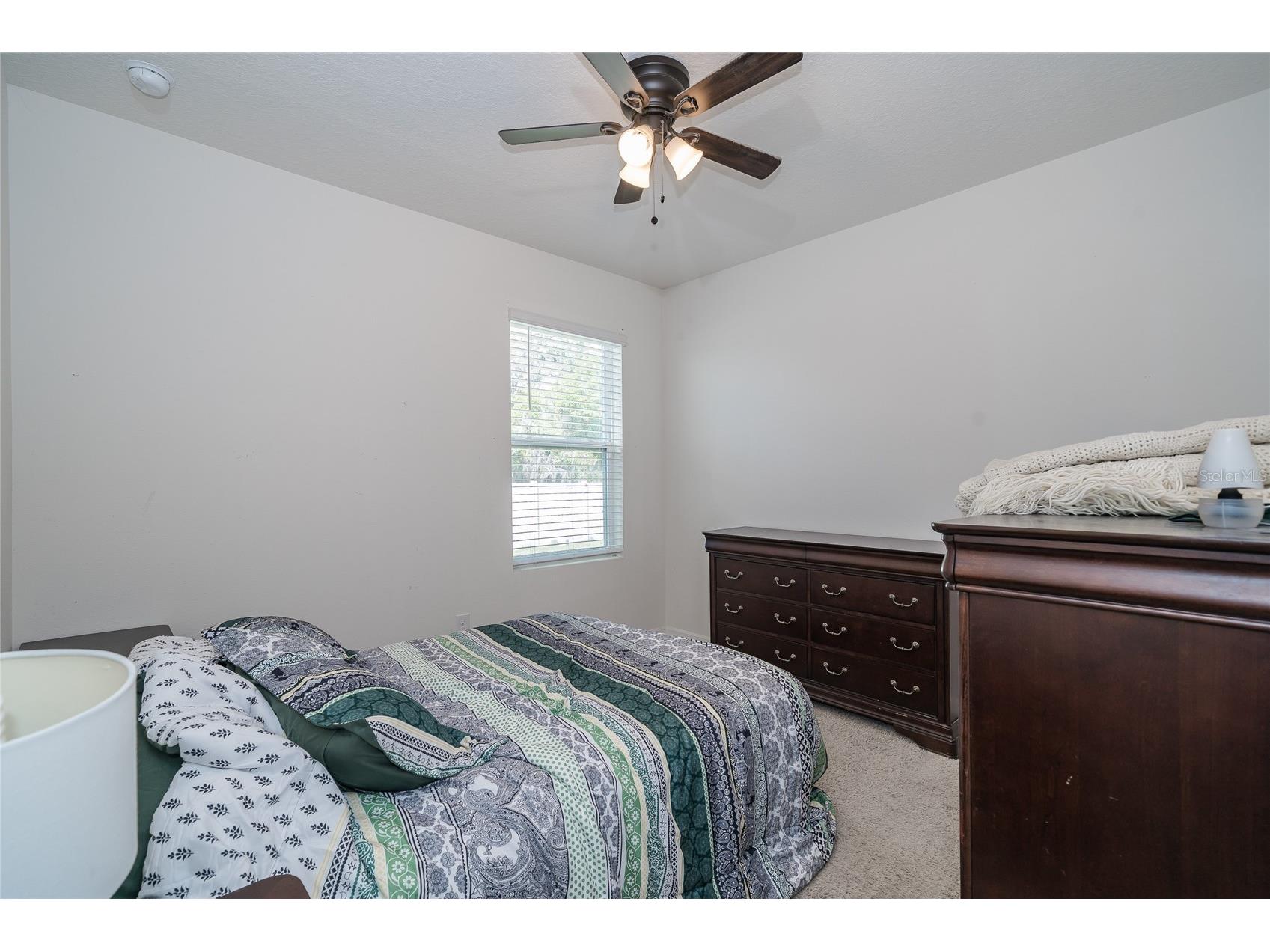 35900 Hillbrook Avenue Zephyrhills FL 33541 TB8493926 image12