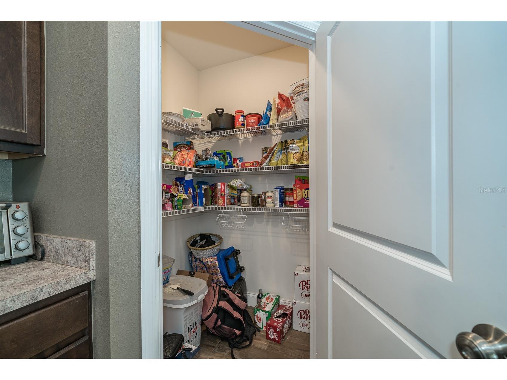 35900 Hillbrook Avenue Zephyrhills FL 33541 TB8493926 image24