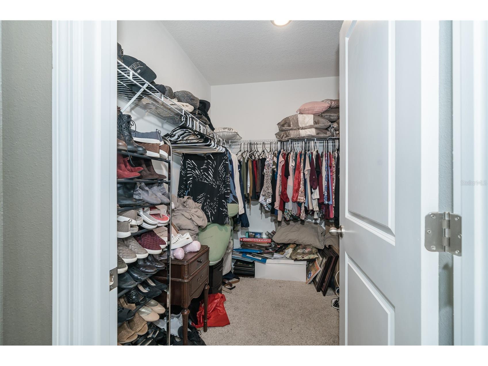 35900 Hillbrook Avenue Zephyrhills FL 33541 TB8493926 image31