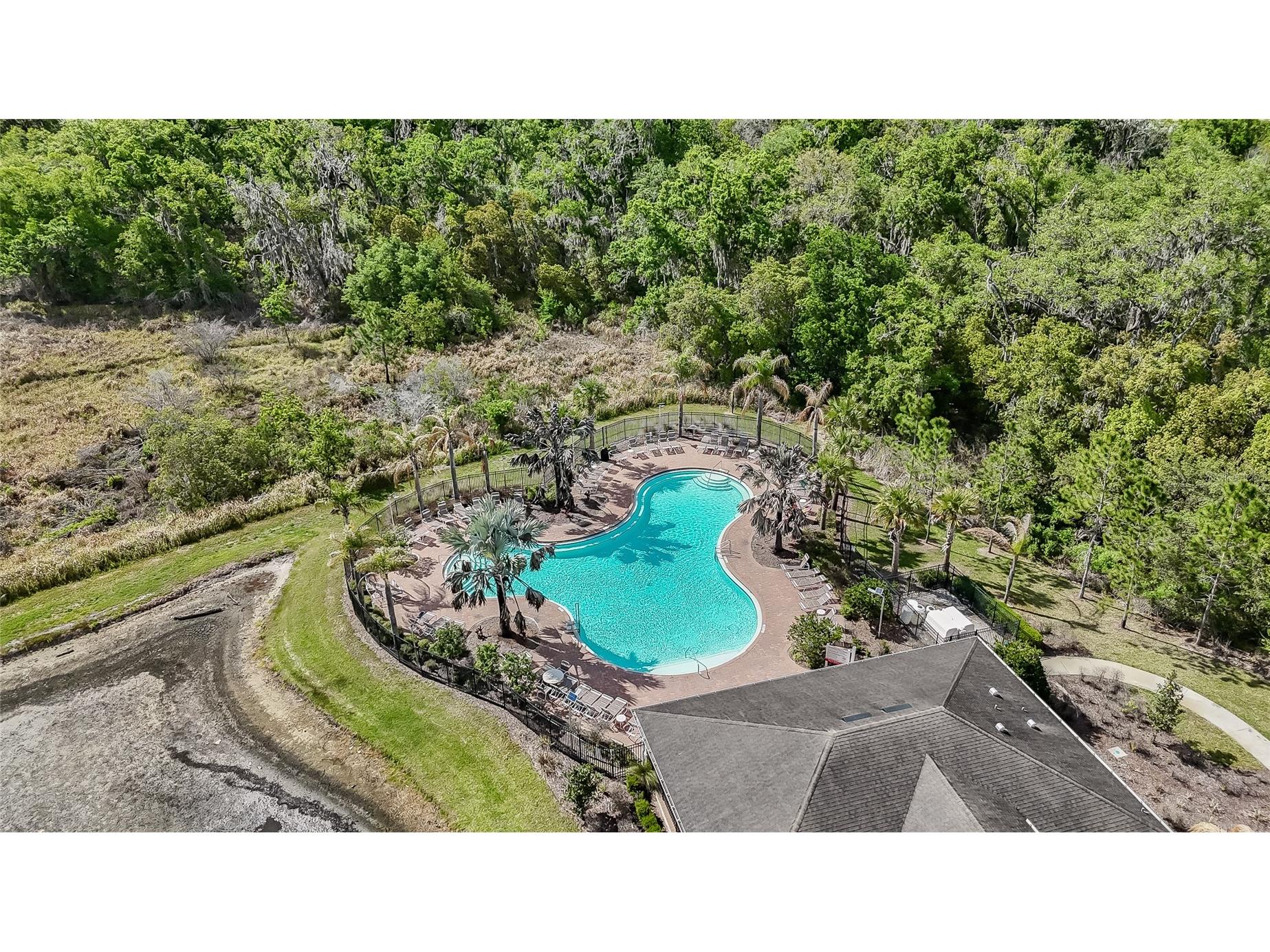 35900 Hillbrook Avenue Zephyrhills FL 33541 TB8493926 image46