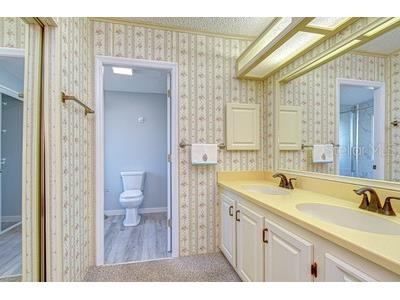 35909 Bueno Drive Zephyrhills FL 33541 TB8485564 image15