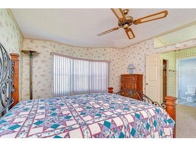 35909 Bueno Drive Zephyrhills FL 33541 TB8485564 image16