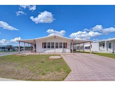 35909 Bueno Drive Zephyrhills FL 33541 TB8485564 image17