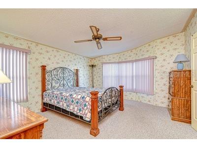 35909 Bueno Drive Zephyrhills FL 33541 TB8485564 image24
