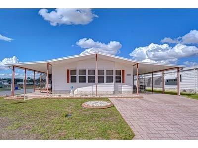 35909 Bueno Drive Zephyrhills FL 33541 TB8485564 image29