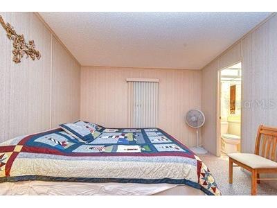 35909 Bueno Drive Zephyrhills FL 33541 TB8485564 image31