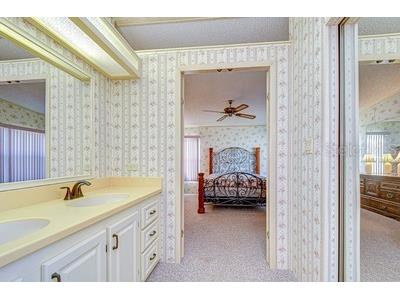 35909 Bueno Drive Zephyrhills FL 33541 TB8485564 image41