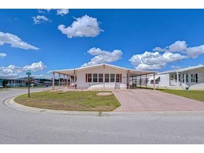 35909 Bueno Drive Zephyrhills FL 33541 TB8485564 image46