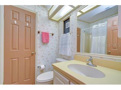35909 Bueno Drive Zephyrhills FL 33541 TB8485564 image48