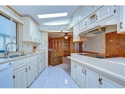 35909 Bueno Drive Zephyrhills FL 33541 TB8485564 image51