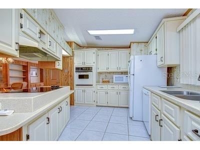 35909 Bueno Drive Zephyrhills FL 33541 TB8485564 image58