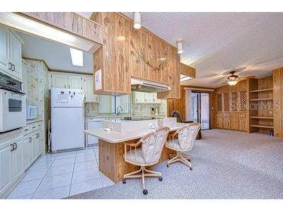35909 Bueno Drive Zephyrhills FL 33541 TB8485564 image60