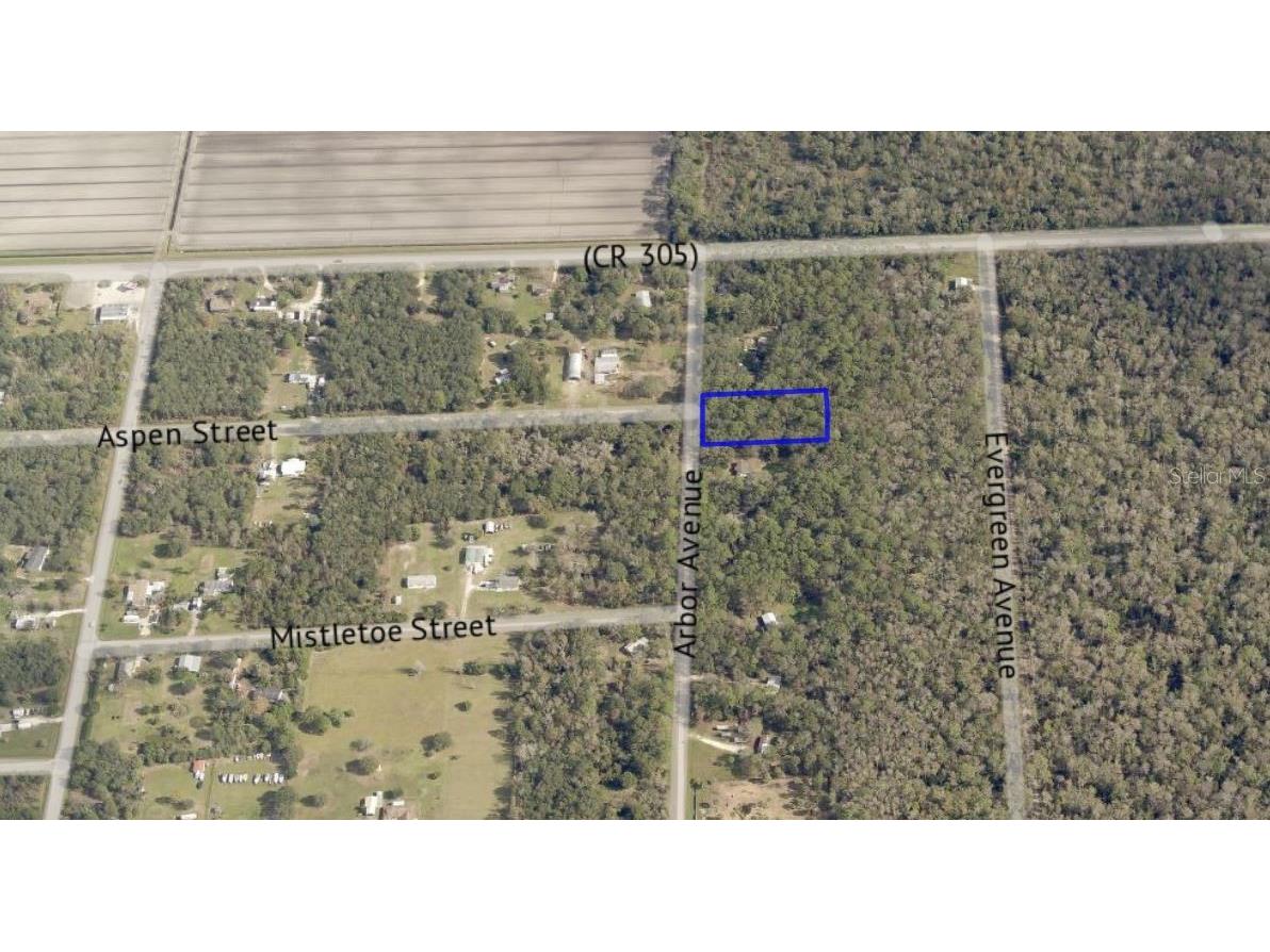 3591 Arbor Avenue Bunnell FL 32110 FC293294 image1