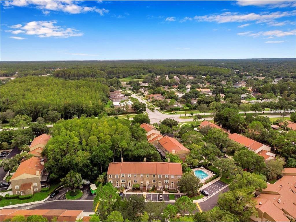 3591 Edington Way Palm Harbor FL 34685 U8246580 image1