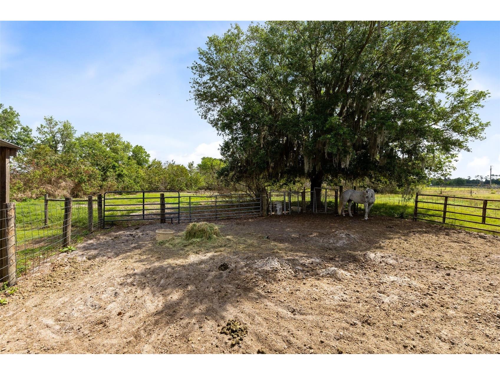 3591 N Canoe Creek Road Kenansville FL 34739 S5146630 image38