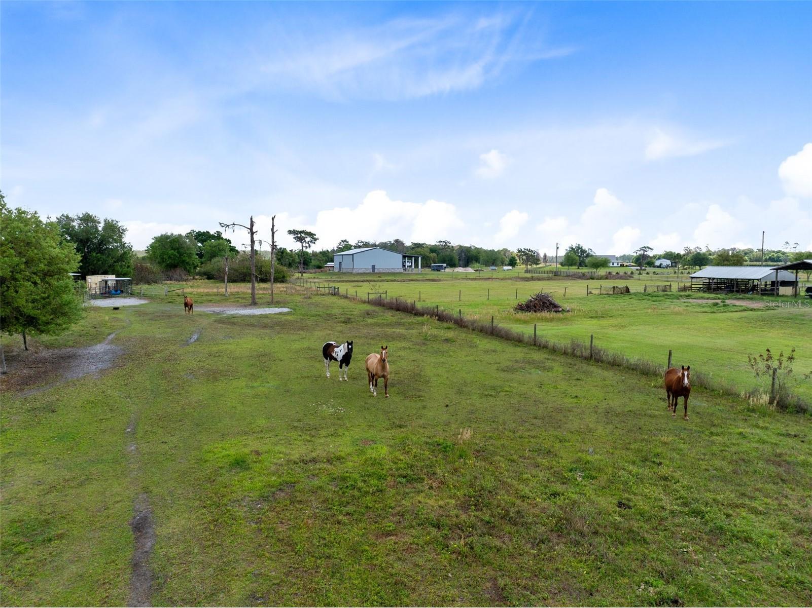 3591 N Canoe Creek Road Kenansville FL 34739 S5146630 image39