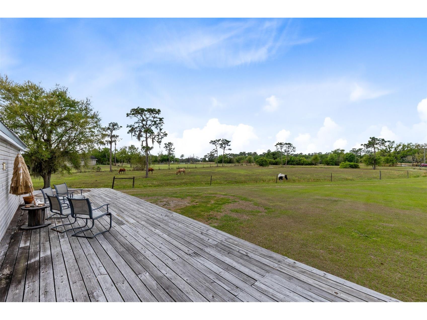 3591 N Canoe Creek Road Kenansville FL 34739 S5146630 image7