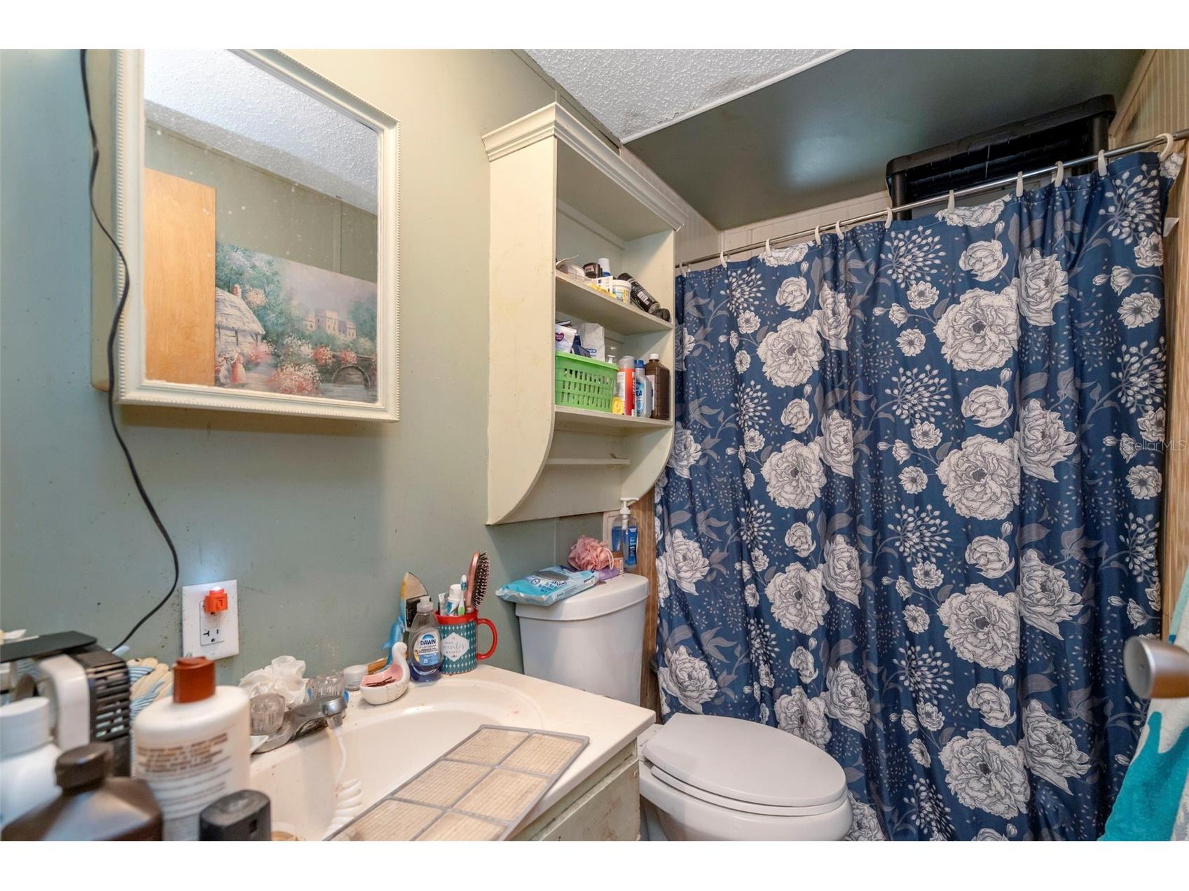 35913 Valleybrook Avenue Zephyrhills FL 33541 TB8512436 image7