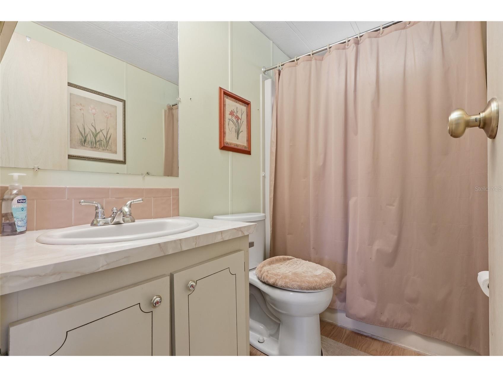 35919 Verano Lane Zephyrhills FL 33541 TB8511592 image18