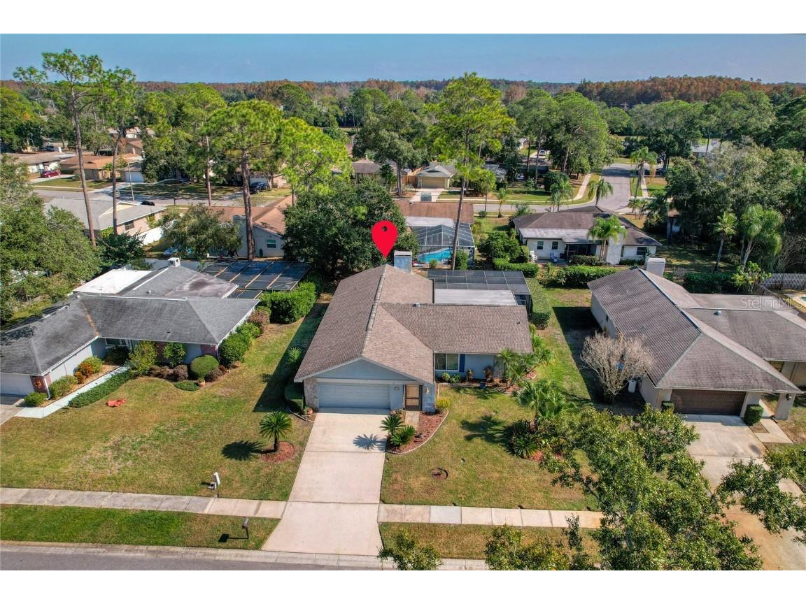 3592 Fairway Forest Drive Palm Harbor FL 34685 TB8451077 image18