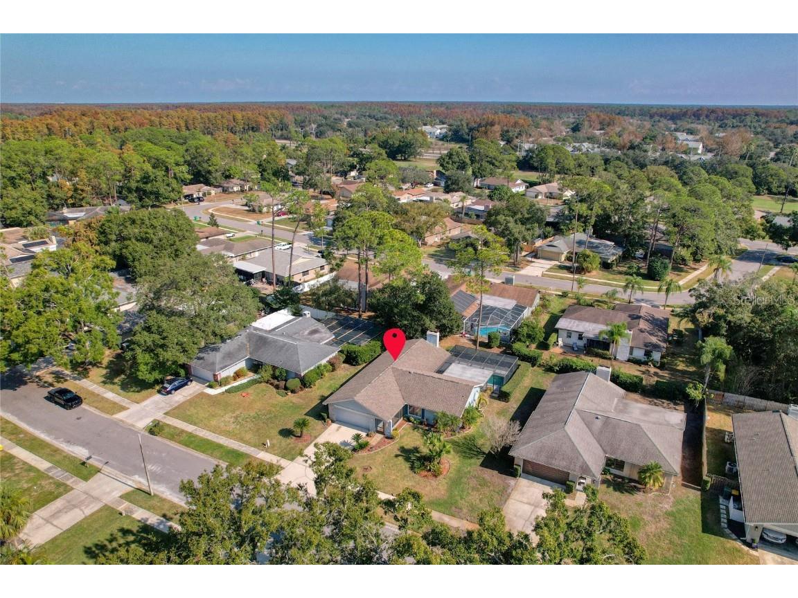 3592 Fairway Forest Drive Palm Harbor FL 34685 TB8451077 image19