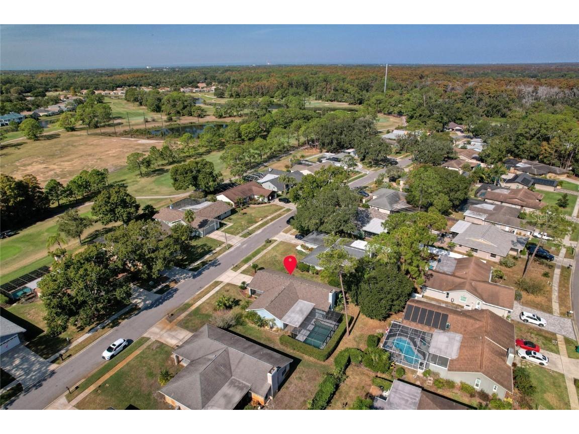 3592 Fairway Forest Drive Palm Harbor FL 34685 TB8451077 image20