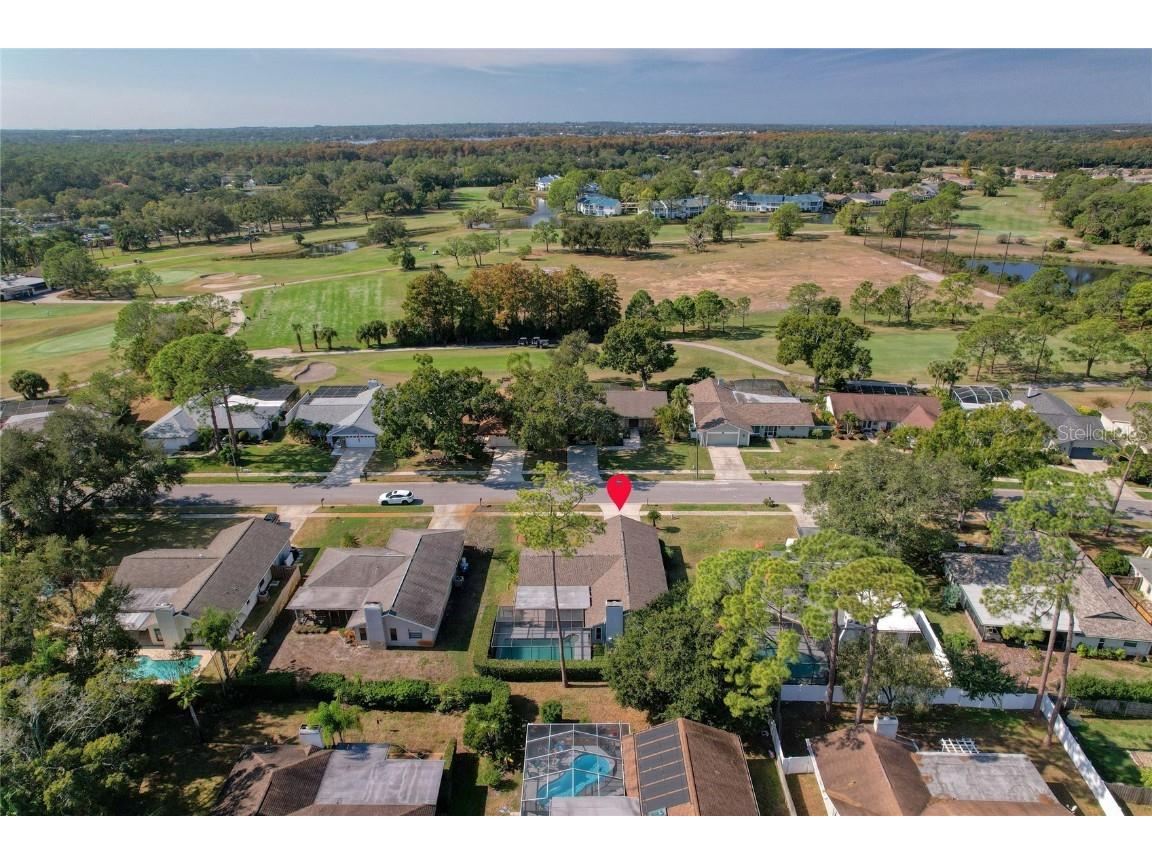 3592 Fairway Forest Drive Palm Harbor FL 34685 TB8451077 image21