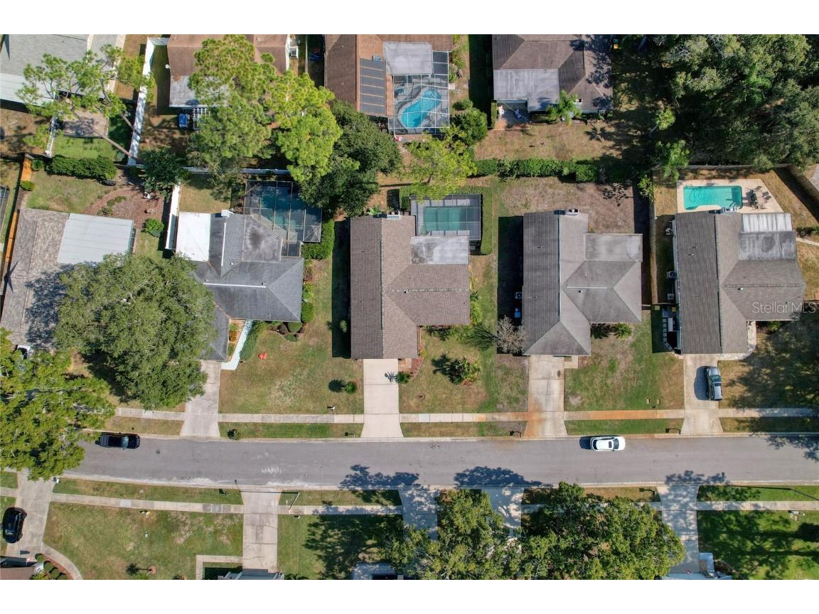 3592 Fairway Forest Drive Palm Harbor FL 34685 TB8451077 image23