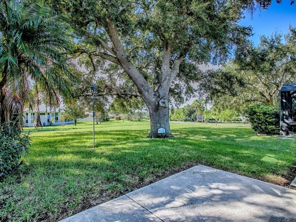 3592 Tropical Seas Loop Tavares FL 32778 - LITTLE LAKE HARRIS G5103892 image36