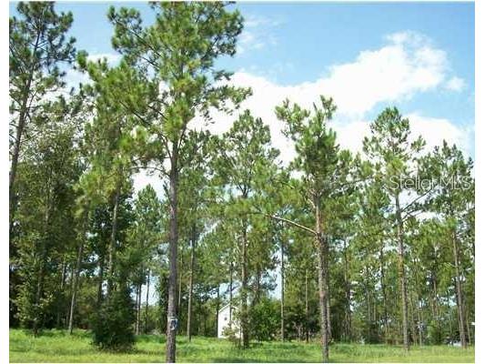 35920 Ramsey Ridge Drive Dade City FL 33523 T3449657 image1