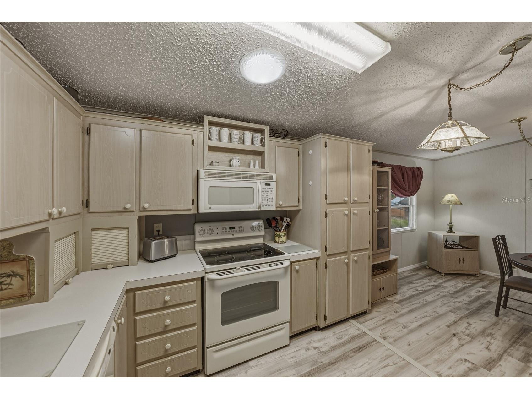 35921 Tanda Circle Zephyrhills FL 33541 TB8509701 image13