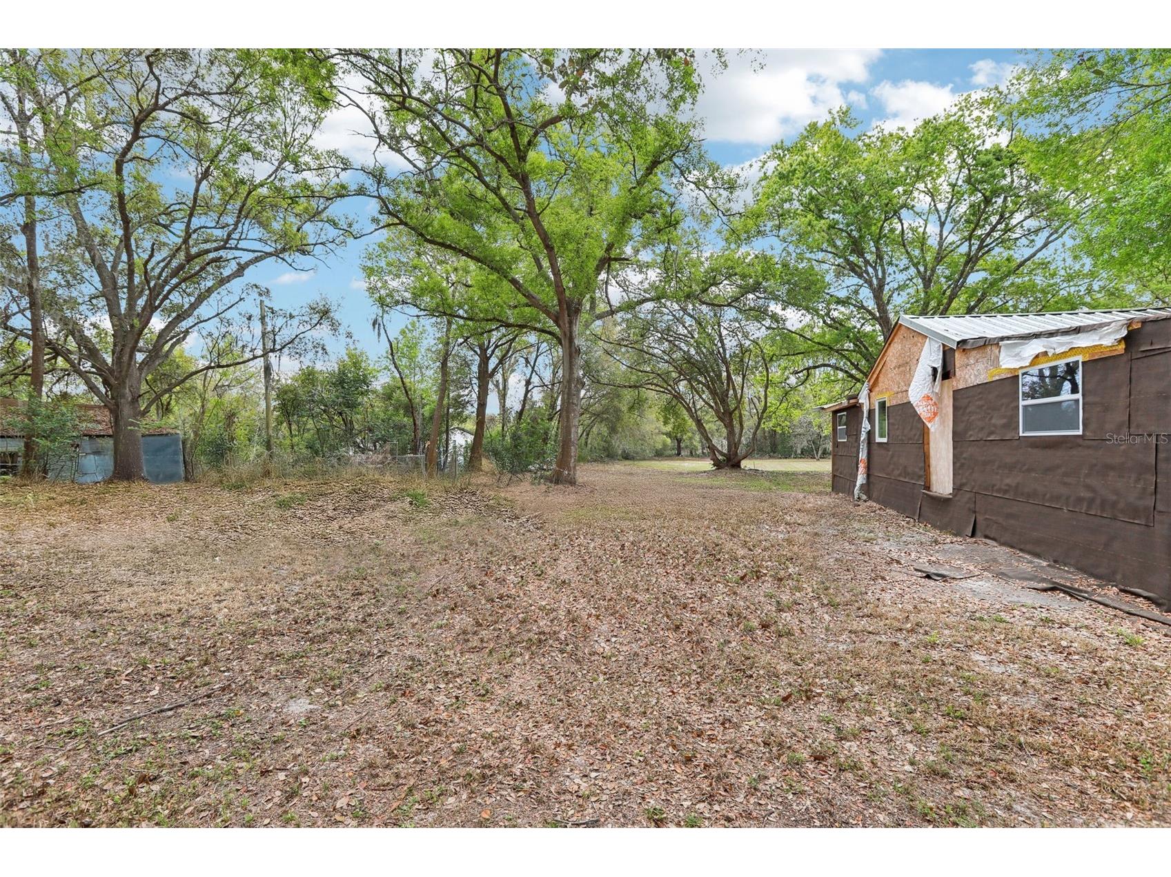 35929 Valleybrook Avenue Zephyrhills FL 33541 TB8485363 image13