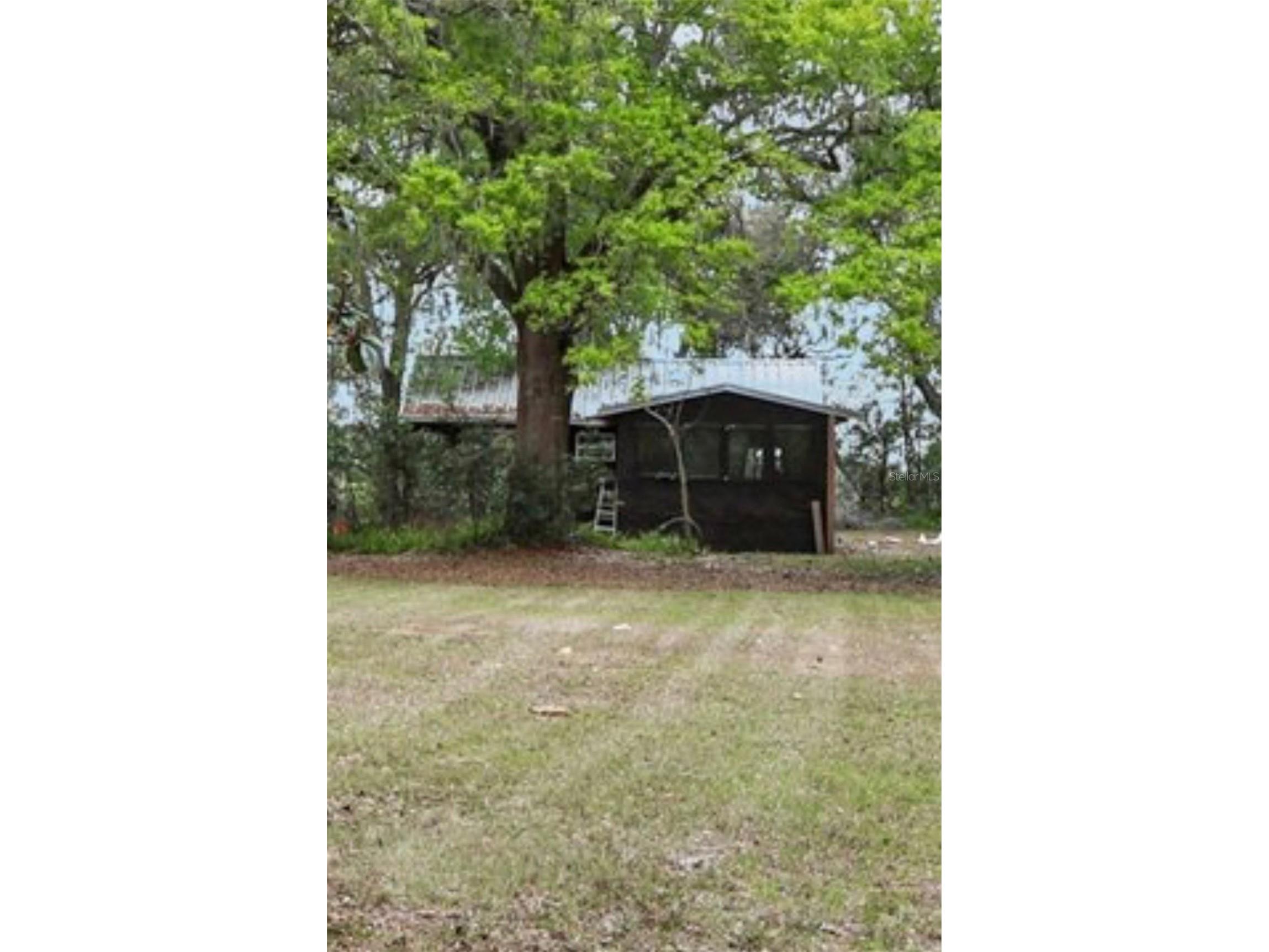 35929 Valleybrook Avenue Zephyrhills FL 33541 TB8485363 image2