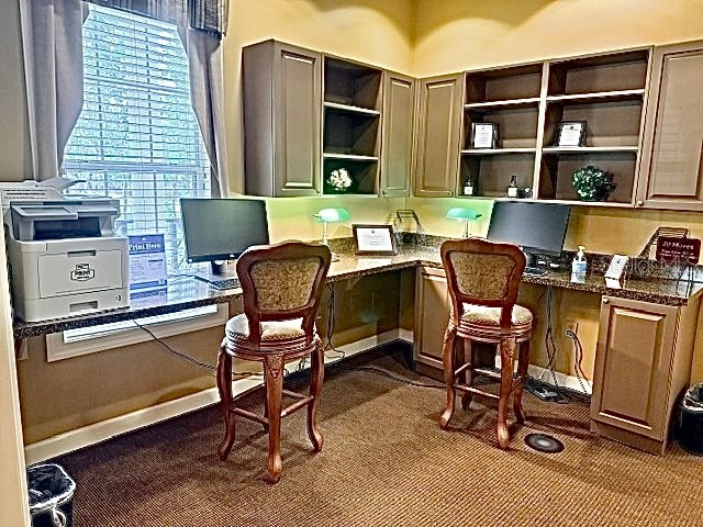 3593 Conroy Road #433 Orlando FL 32839 V4949007 image44