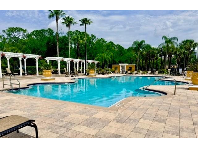 3593 Conroy Road #433 Orlando FL 32839 V4949007 image49
