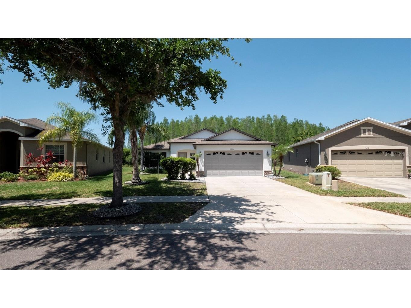 3593 Gerrads Cross Court Land O Lakes FL 34638 W7874456 image1