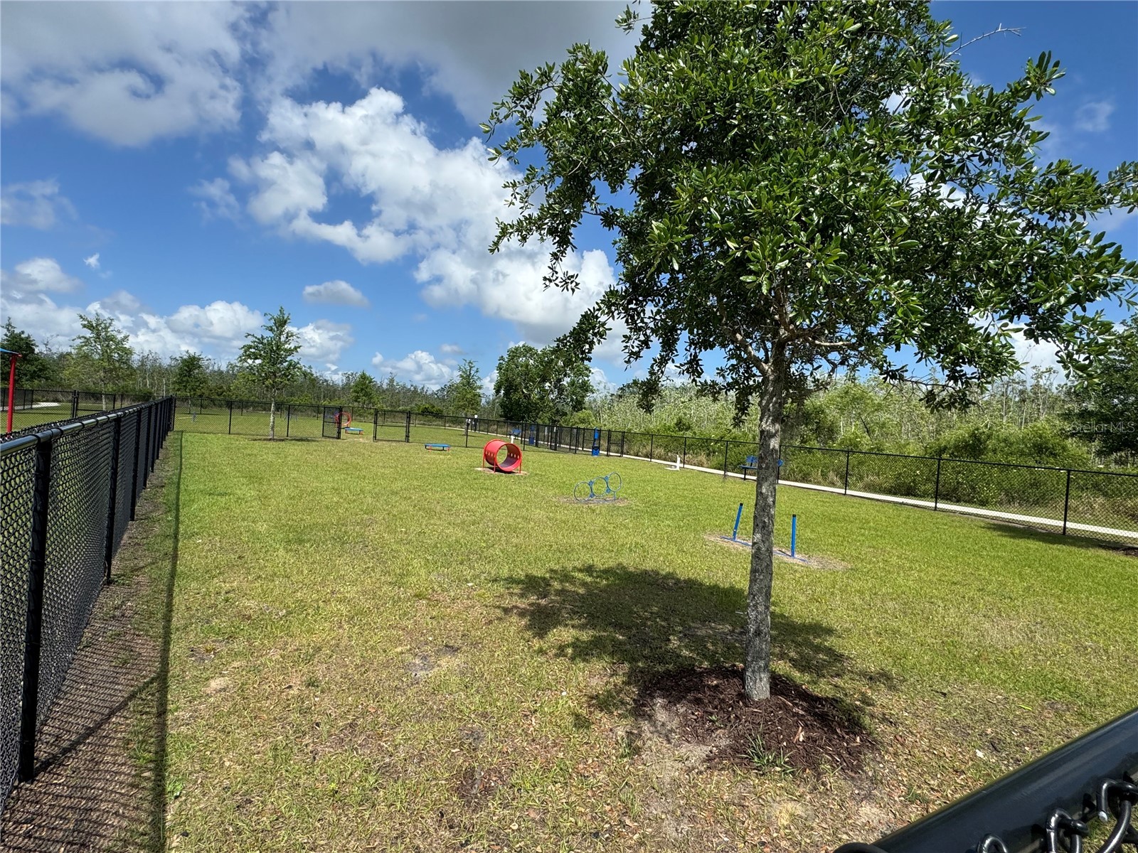 3593 Yarian Drive Haines City FL 33844 O6405683 image30