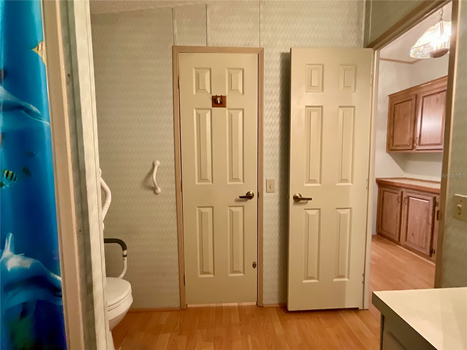 35935 Tanda Circle Zephyrhills FL 33541 L4961580 image27
