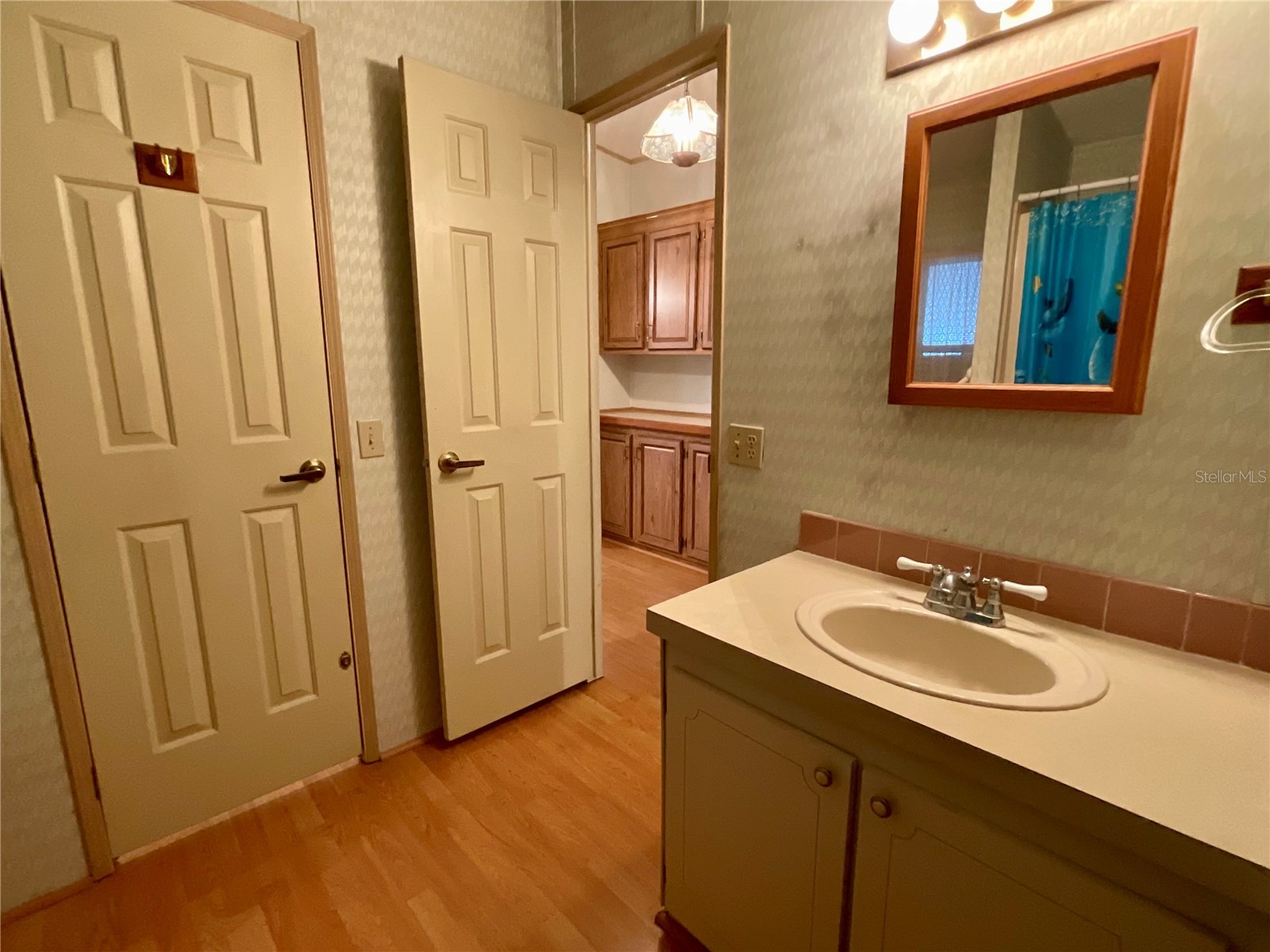 35935 Tanda Circle Zephyrhills FL 33541 L4961580 image28