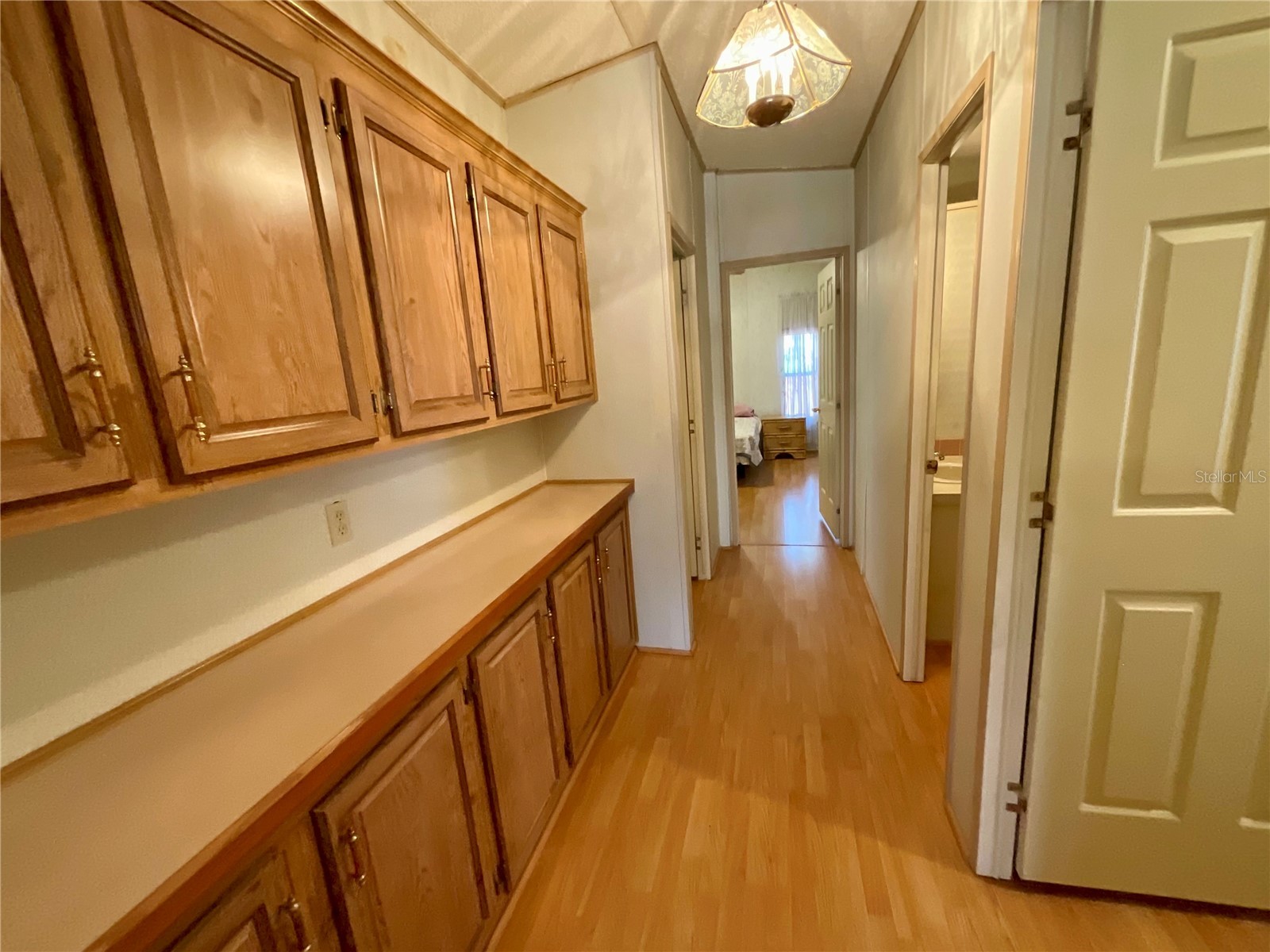 35935 Tanda Circle Zephyrhills FL 33541 L4961580 image29