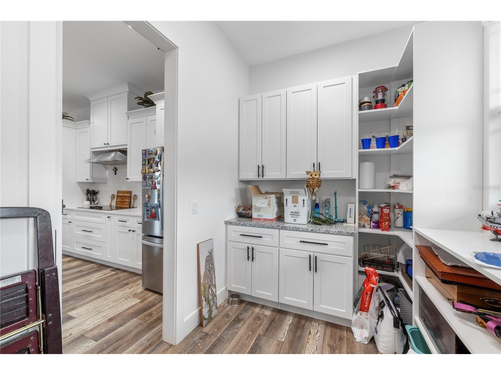 35940 Ramsey Ridge Drive Dade City FL 33523 TB8511394 image12