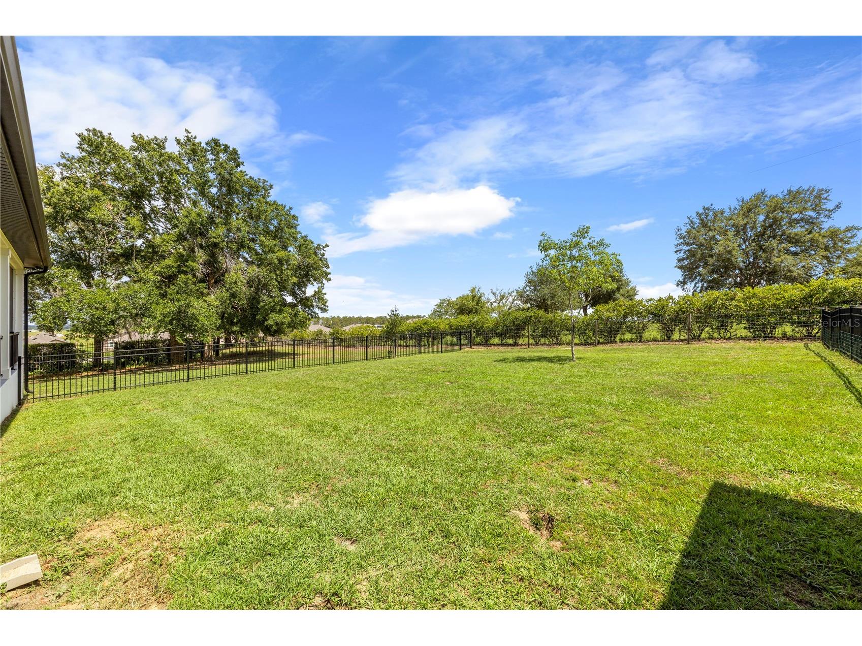 35940 Ramsey Ridge Drive Dade City FL 33523 TB8511394 image46